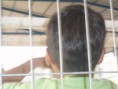 /album/visita-al-hogar-teniente-merino-13-05-2012/p1010277-jpg/